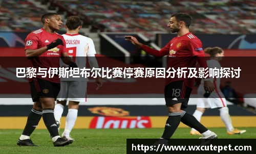 巴黎与伊斯坦布尔比赛停赛原因分析及影响探讨