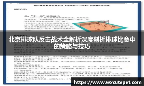 北京排球队反击战术全解析深度剖析排球比赛中的策略与技巧