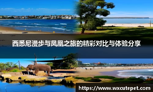 西悉尼漫步与凤凰之旅的精彩对比与体验分享
